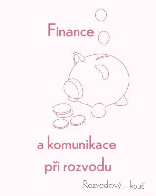 Rozvod není jen právní a emoční krok – je to i o financích. A právě na nich se často nejvíc láme dohoda mezi partnery. Na...